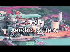 مولد أكسجين VSA VPSA